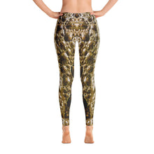 Woodhouse's Toad Leggings